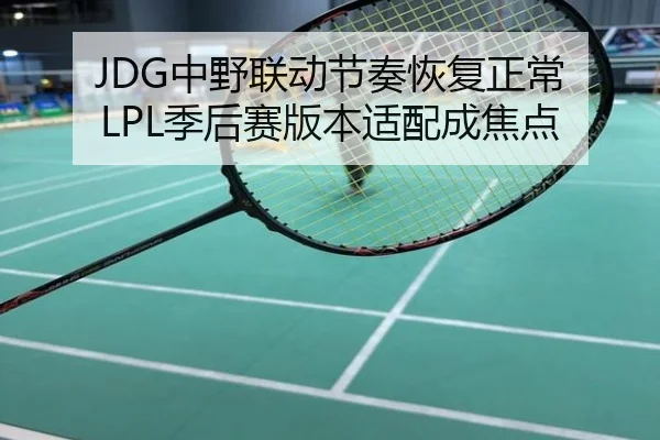 JDG中野联动节奏恢复正常 LPL季后赛版本适配成焦点