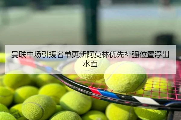 曼联中场引援名单更新阿莫林优先补强位置浮出水面